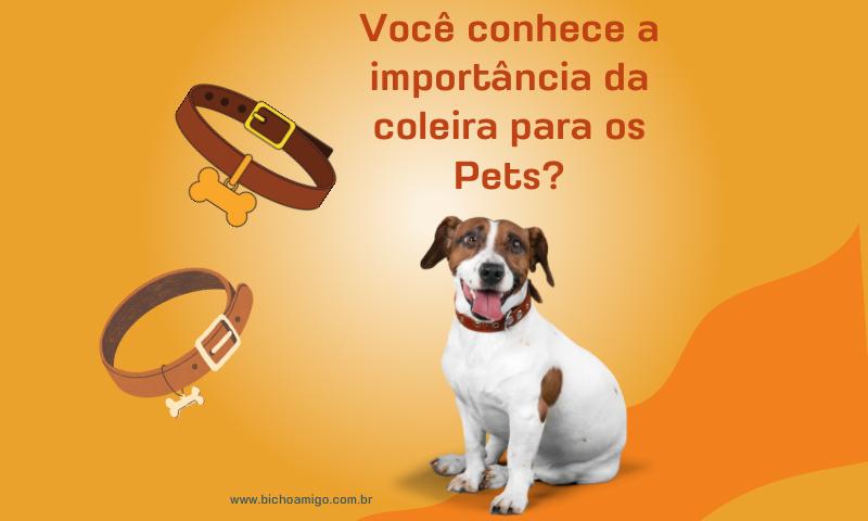 Quer dar um momento especial para o seu bichinho? Traga-o para ter uma  sessão de cuidados no Klã Dog! Aqui o seu pet p…